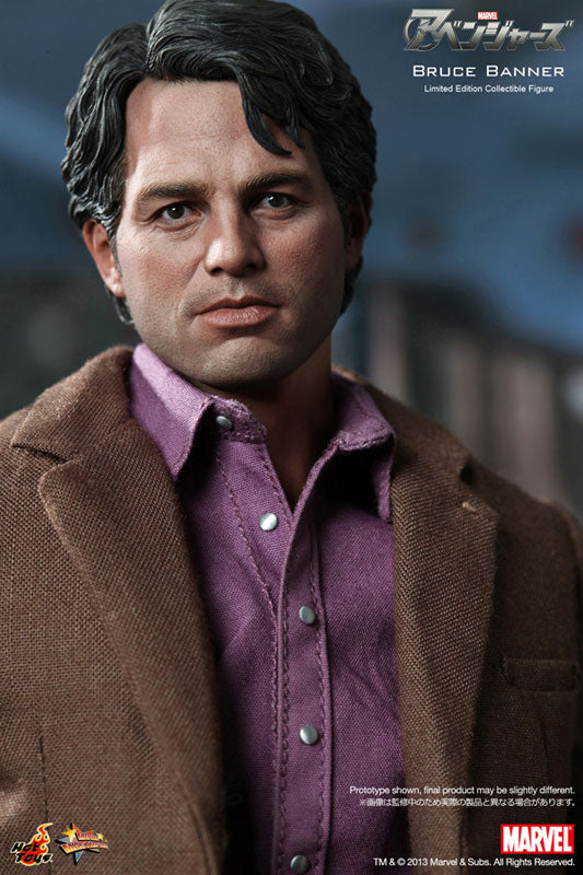 Movie Masterpiece - The Avengers 1/6 Scale Figure: Bruce Banner　