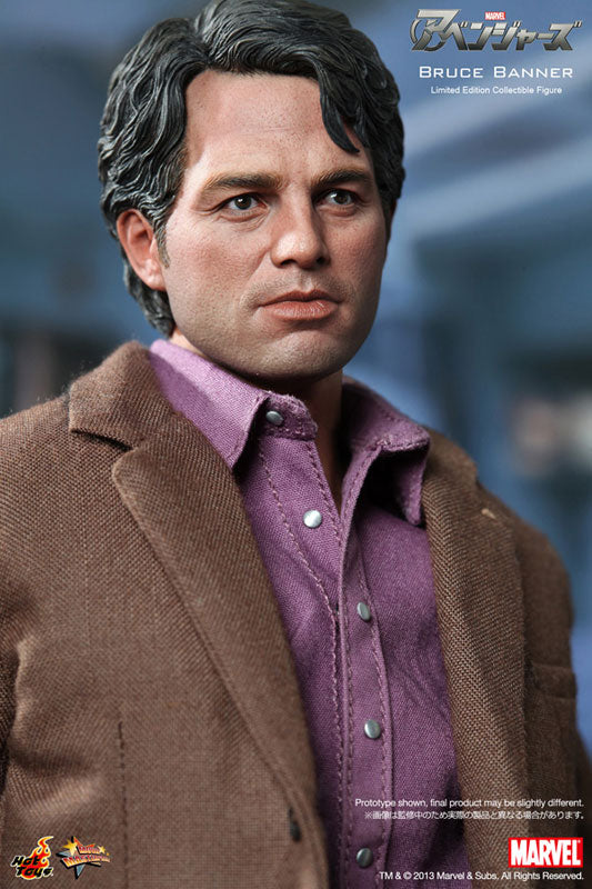 Movie Masterpiece - The Avengers 1/6 Scale Figure: Bruce Banner　