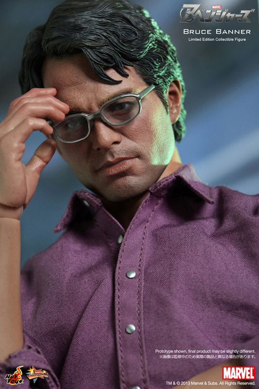 Movie Masterpiece - The Avengers 1/6 Scale Figure: Bruce Banner　