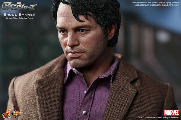 Movie Masterpiece - The Avengers 1/6 Scale Figure: Bruce Banner　