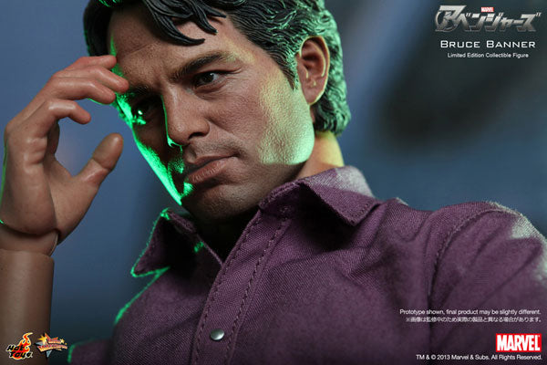 Movie Masterpiece - The Avengers 1/6 Scale Figure: Bruce Banner　