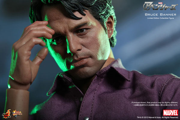 Movie Masterpiece - The Avengers 1/6 Scale Figure: Bruce Banner　