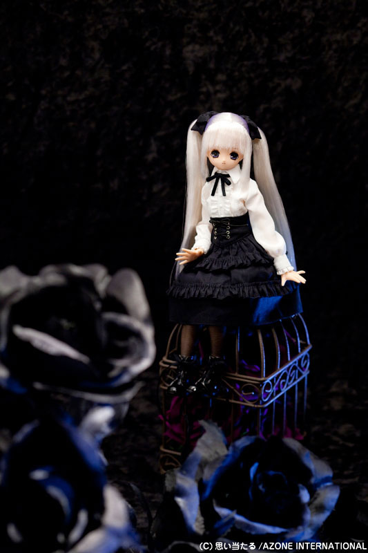 Ex☆Cute Family - PureNeemo - Sera - 1/6 - Secret Wonderland (Azone)　