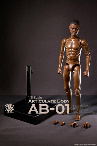 ZC WORLD: Articulated Body AB-01 Male Doll Body