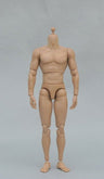 1/6 Male Doll Body Muscle Body (Light Tan)