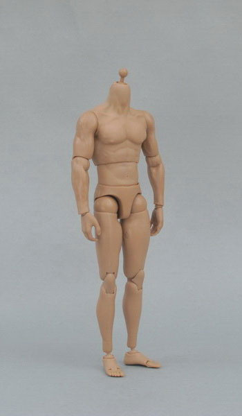 1/6 Male Doll Body Muscle Body (Light Tan)