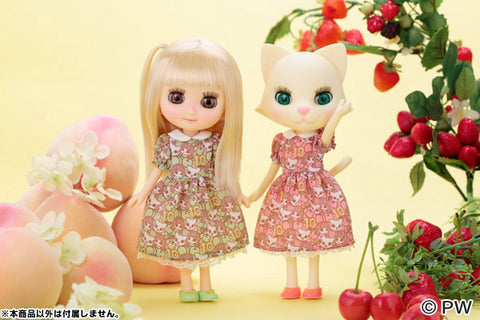 Fruit Party Nikki Complete Doll