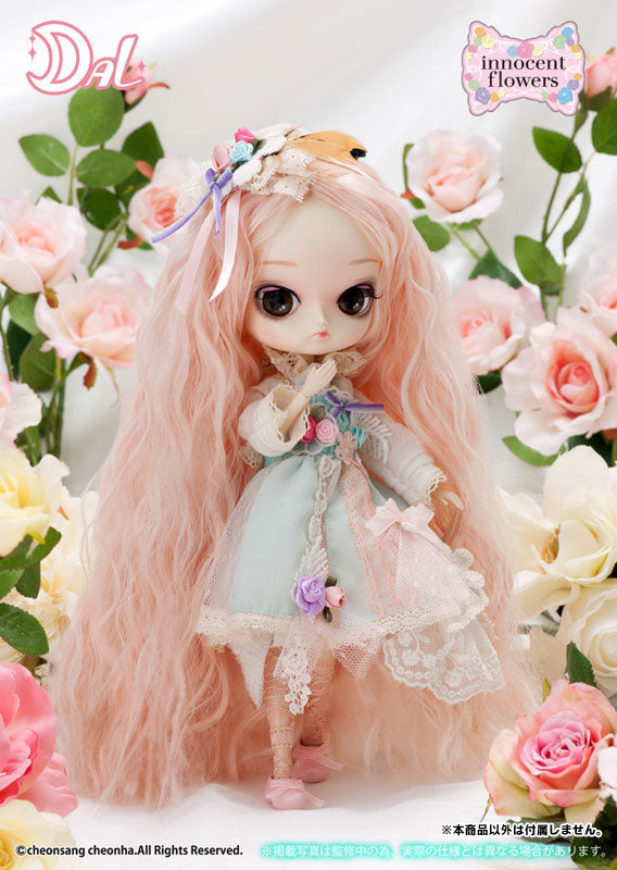 Dal D-158 - Pullip (Line) - Cherry Sweet - 『innocent flowers』 (Groove)