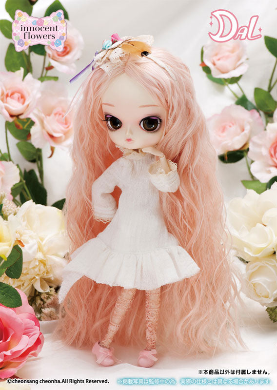 Dal D-158 - Pullip (Line) - Cherry Sweet - 『innocent flowers』 (Groove)