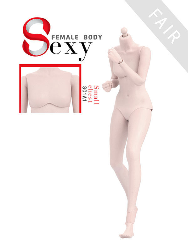 1/6 Rubber Joint Female Doll Body Fair Skin Small Chest(Provisional Pre-order)　
