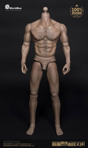 1/6 Male Body Thick Chest & Broad Shoulder　