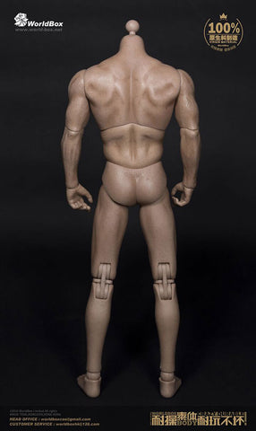 1/6 Male Body Thick Chest & Broad Shoulder　