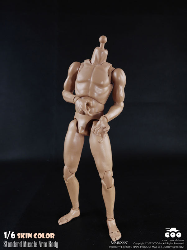 1/6 Male Body Standard Muscle Arm　