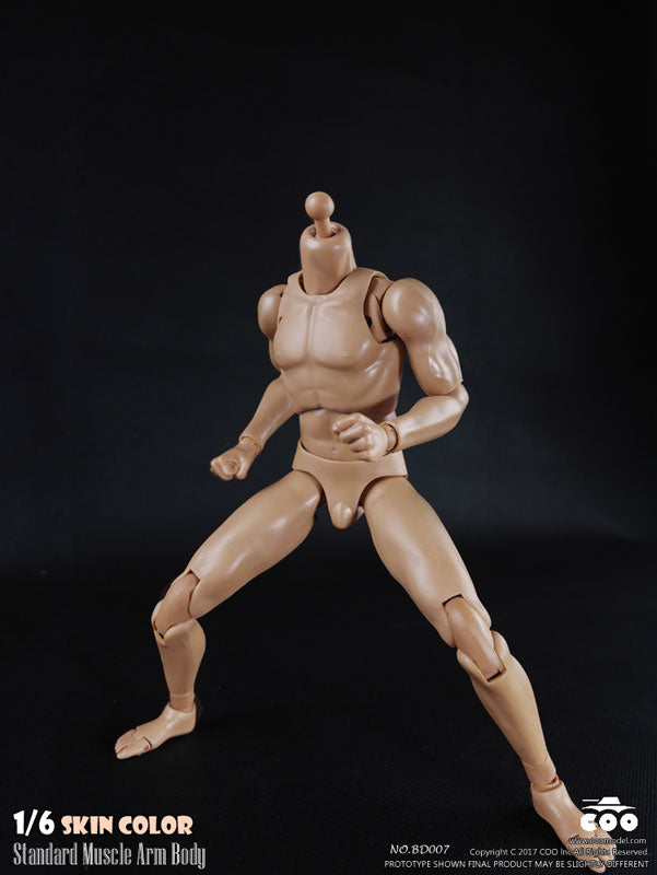 1/6 Male Body Standard Muscle Arm　