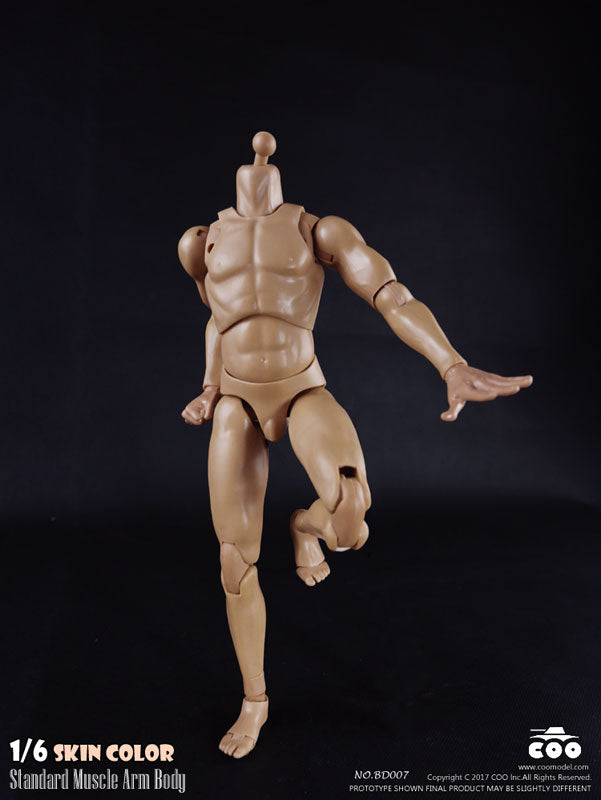 1/6 Male Body Standard Muscle Arm　