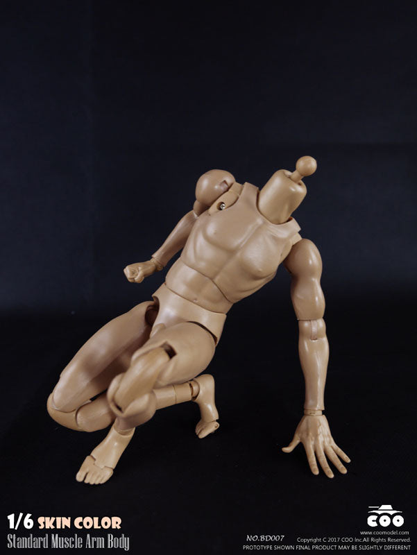 1/6 Male Body Standard Muscle Arm　