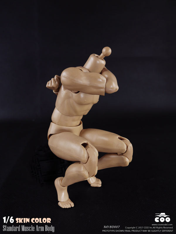 1/6 Male Body Standard Muscle Arm　