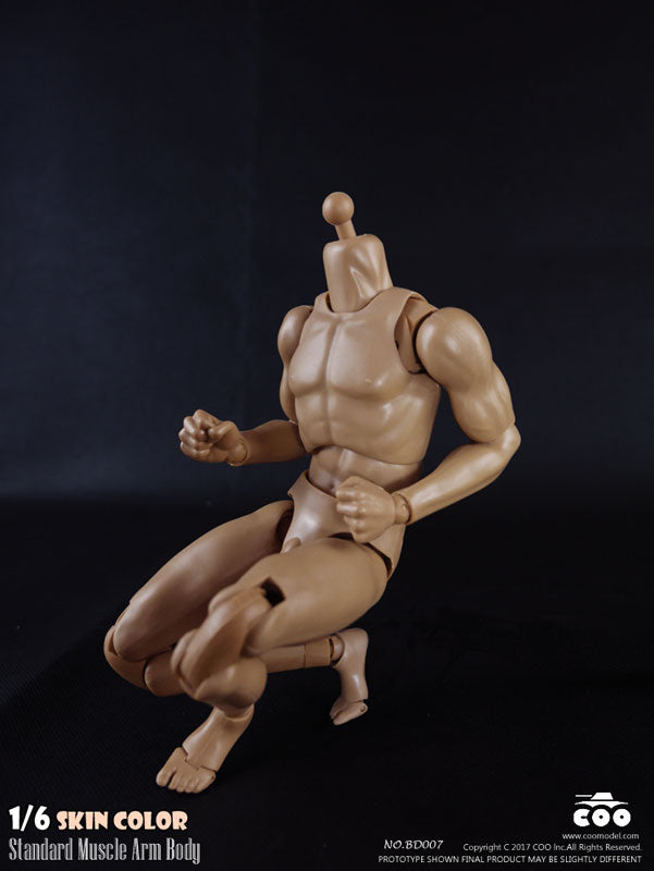 1/6 Male Body Standard Muscle Arm　