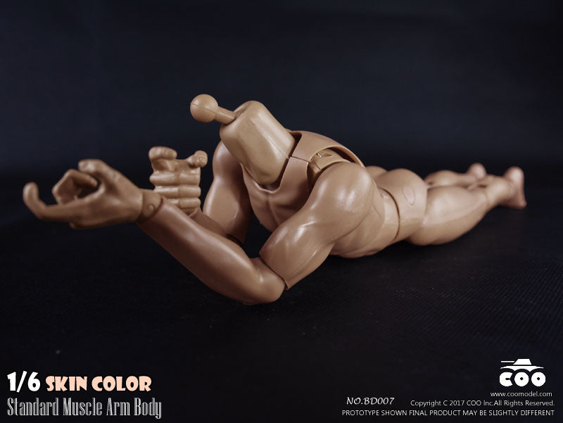 1/6 Male Body Standard Muscle Arm　