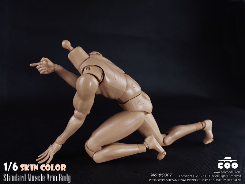 1/6 Male Body Standard Muscle Arm　