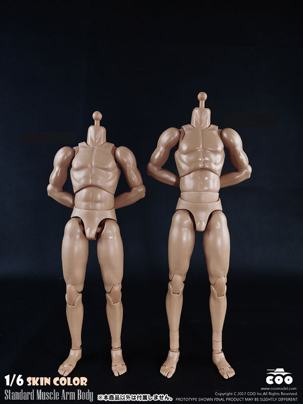 1/6 Male Body Standard Muscle Arm　