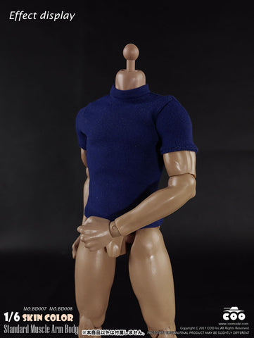 1/6 Male Body Standard Muscle Arm Tall　