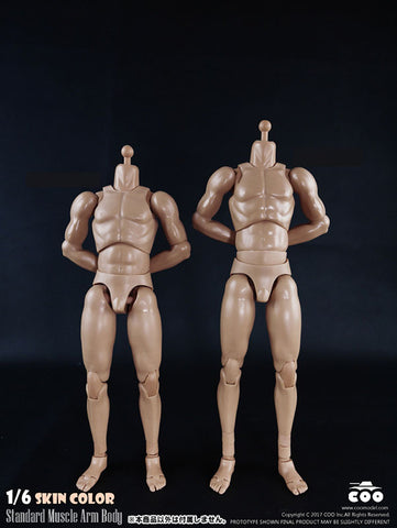 1/6 Male Body Standard Muscle Arm Tall　
