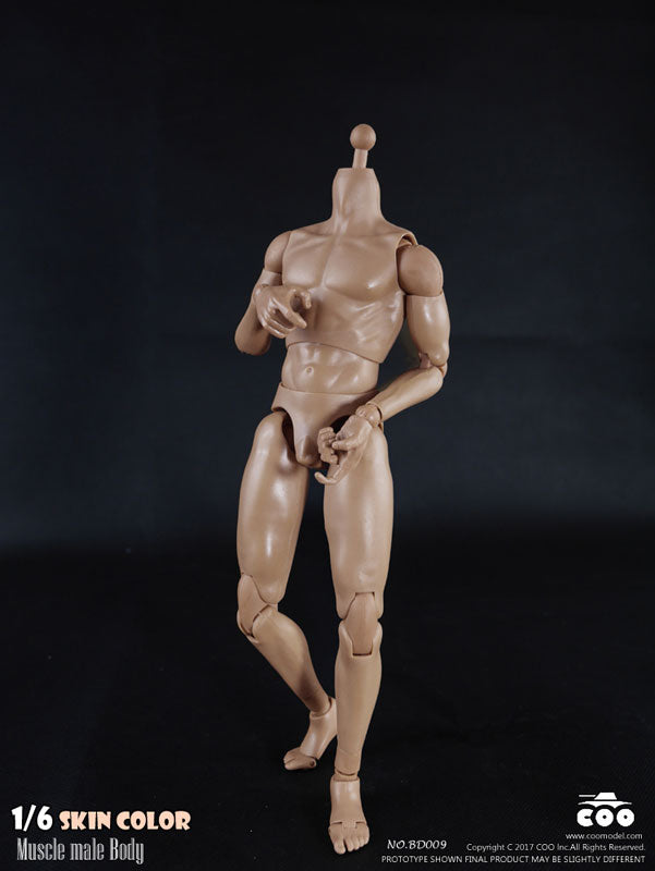 1/6 Male Body Muscle　