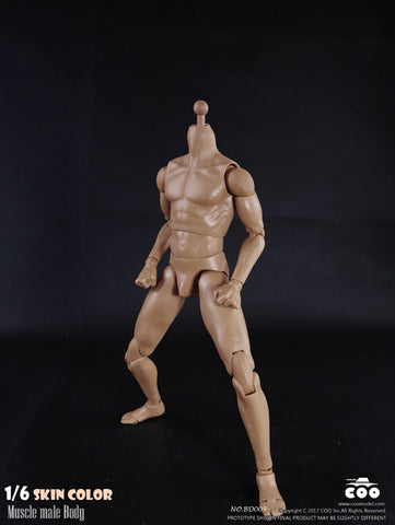 1/6 Male Body Muscle　