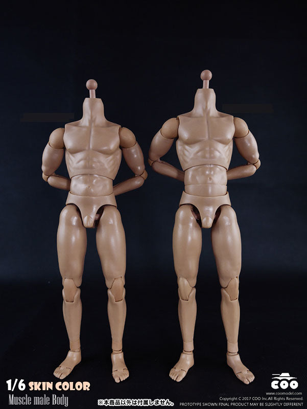 1/6 Male Body Muscle　