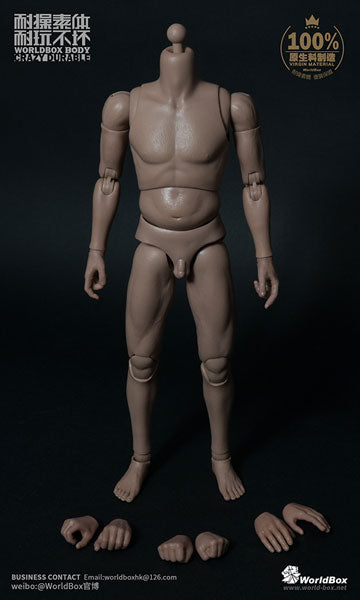 1/6 Male Doll Body Middle-aged Body　