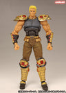 Revoltech Fist of the North Star Revolution No.007 Raoh Regular Edition