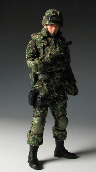 1/6 Action Figure Ground JGSDF Regular Infantry Member Colonel Third Class Masato Hattori