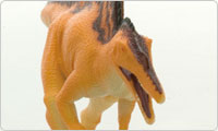 Spinosaurus Soft Model