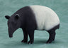 DokiDoki Animal Series - Malayan Tapir