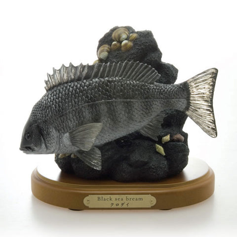 Real Figure Collection Longed-For Sight Series Black Porgy