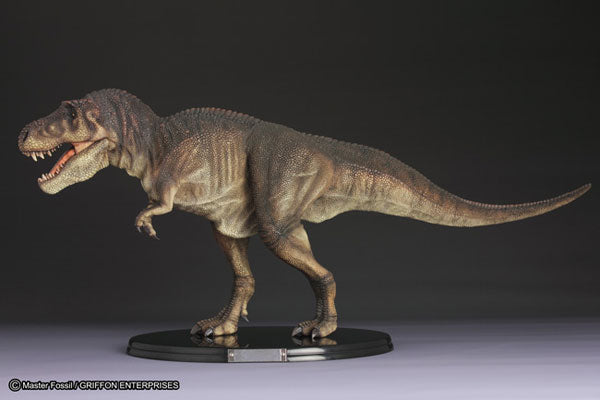 Master Fossil Life Model Series - T.rex (Tyrannosaurus)(Tentative Pre-order)