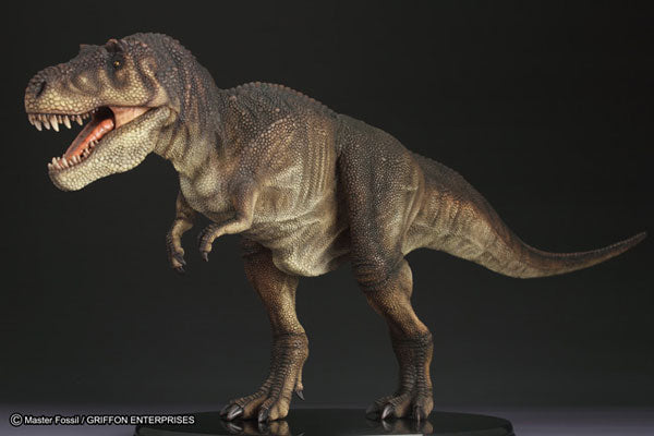 Master Fossil Life Model Series - T.rex (Tyrannosaurus)(Tentative Pre-order)