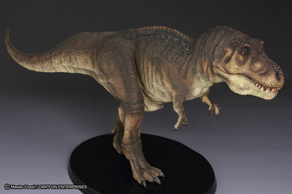 Master Fossil Life Model Series - T.rex (Tyrannosaurus)(Tentative Pre-order)