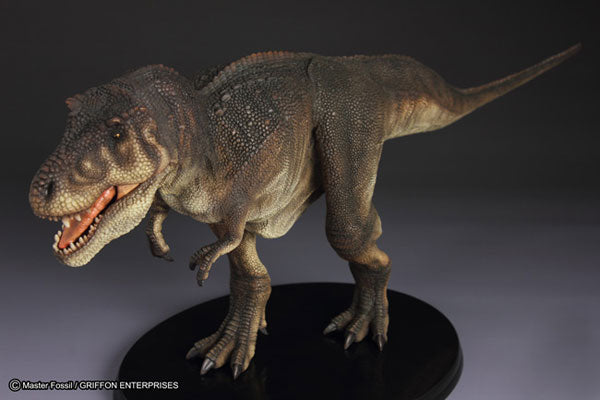 Master Fossil Life Model Series - T.rex (Tyrannosaurus)(Tentative Pre-order)