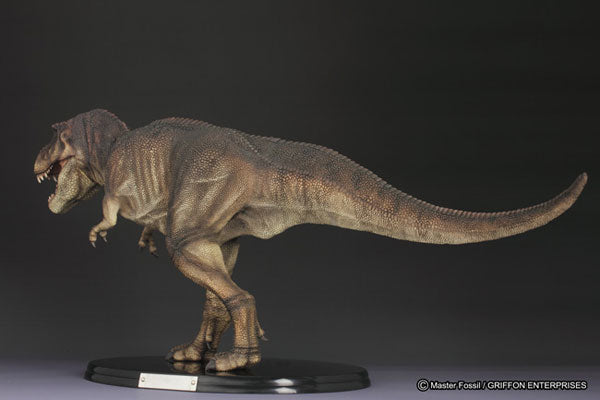 Master Fossil Life Model Series - T.rex (Tyrannosaurus)(Tentative Pre-order)