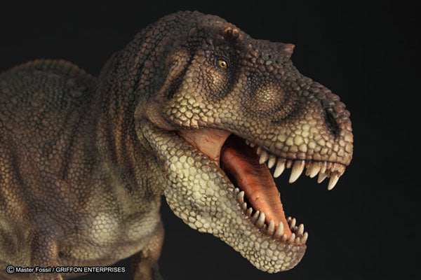 Master Fossil Life Model Series - T.rex (Tyrannosaurus)(Tentative Pre-order)