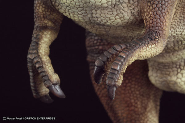 Master Fossil Life Model Series - T.rex (Tyrannosaurus)(Tentative Pre-order)