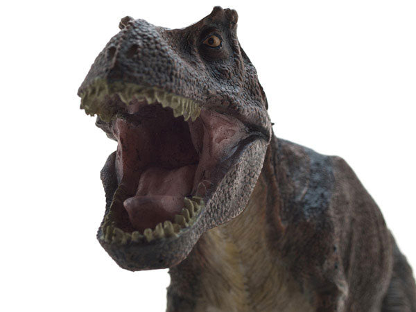 Tyrannosaurus Desktop Model