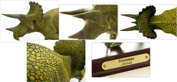 Dinosaur Desktop Model Triceratops