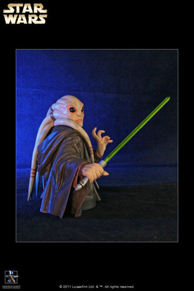 Star Wars - Mini Bust Kit: Fisto