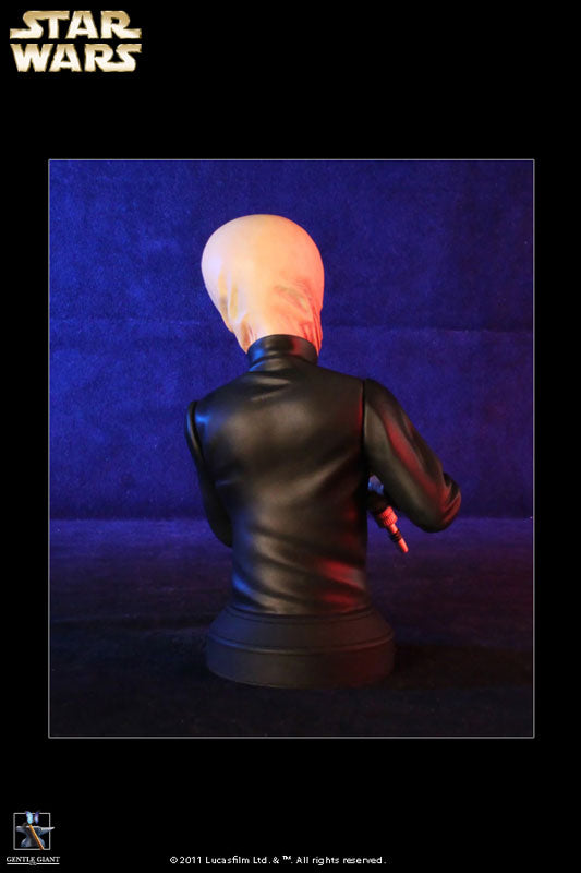 Star Wars - Mini Bust: Tedn Dahai