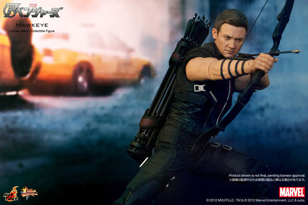 Movie Masterpiece - The Avengers 1/6 Scale Figure: Hawkeye　