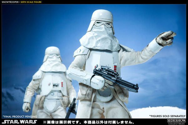 Star Wars 1/6 Scale Figure - Militaries Of Star Wars Snow Trooper