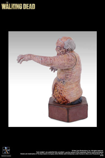 The Walking Dead - Mini Bust: Well Walker